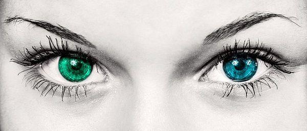 緑と青の瞳